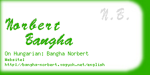 norbert bangha business card